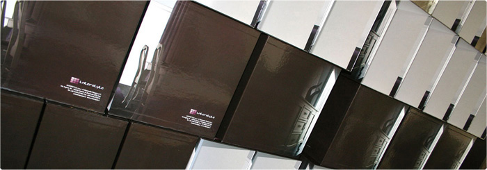 immagine introduttiva