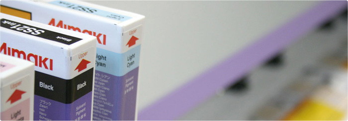 immagine introduttiva